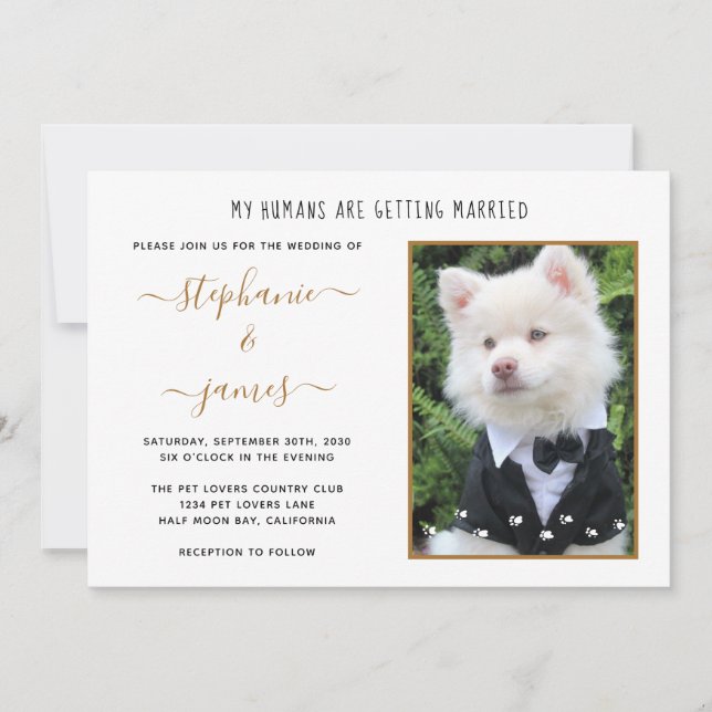 Pet Photo My Humans Getting Married Wedding Invitation (Front)