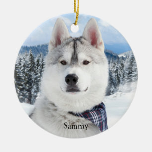 Pet Photo Name Ceramic Ornament