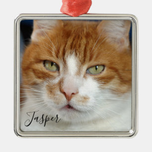 Pet Photo Name Christmas Metal Ornament
