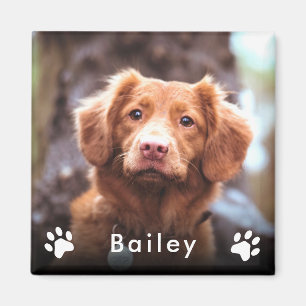 Pet Photo Name Magnet