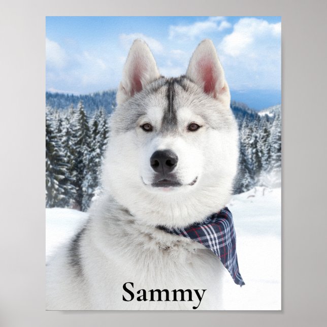 Pet Photo Name Print, Value Poster Paper (Matte) (Front)