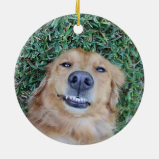 Pet Photo Ornament