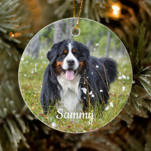 Pet Photo Ornament - Pet Memorial - Dog Photo