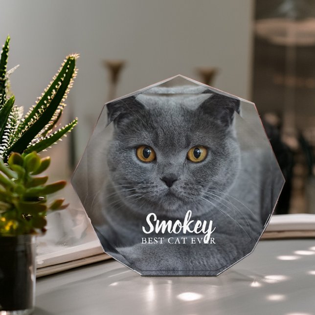 Pet Photo Personalised (Creator Uploaded)