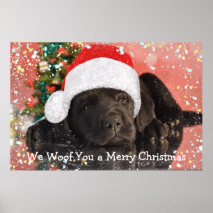 Pet Photo Personalised Dog Lover Merry Christmas  Poster