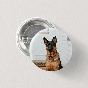 Pet Photo Picture Custom Upload Cute Adorable 3 Cm Round Badge