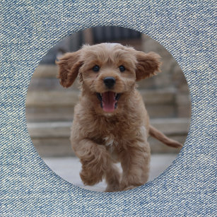 Pet Photo   Picture Upload Cute Adorable Dog 6 Cm Round Badge