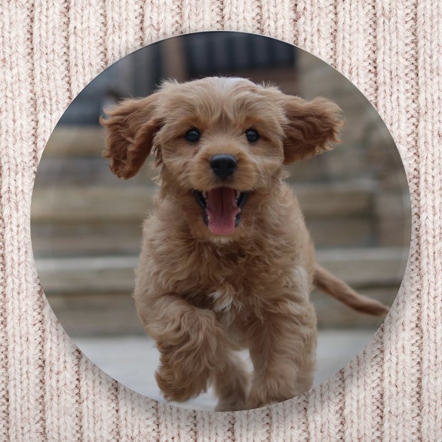 Pet Photo | Picture Upload Cute Adorable Dog 6 Cm Round Badge (Creator Uploaded)