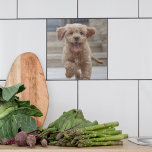 Pet Photo | Picture Upload Cute Adorable Dog Ceramic Tile<br><div class="desc">Custom photo design your own template to include your favourite photograph of your dog, cat, pets, baby, kids, family or friends! An easy to personalise template to make your own one of a kind design with your images. The perfect gift for a loved one! The images shown are for illustration...</div>