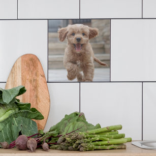 Pet Photo   Picture Upload Cute Adorable Dog Ceramic Tile