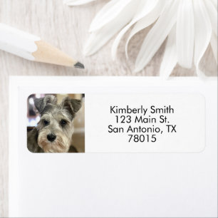 Pet Photo Return Address  Label