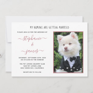 Pet Photo Rose Gold Humans Getting Married Wedding Invitation