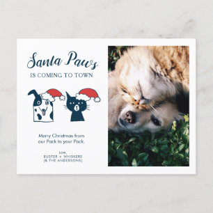 Pet Photo   Santa Paws   Cat Dog Christmas Holiday Postcard