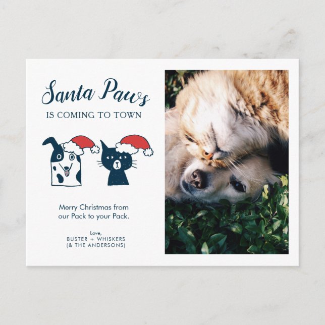 Pet Photo | Santa Paws | Cat Dog Christmas Holiday Postcard (Front)