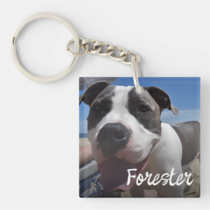 Pet photo simple photo collage key ring