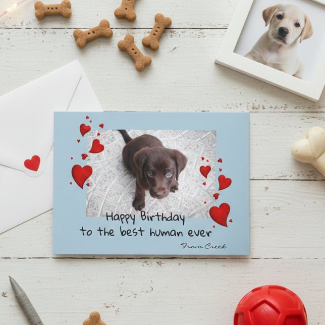 Pet Photo Template Happy Birthday Customise Card (Creator Uploaded)