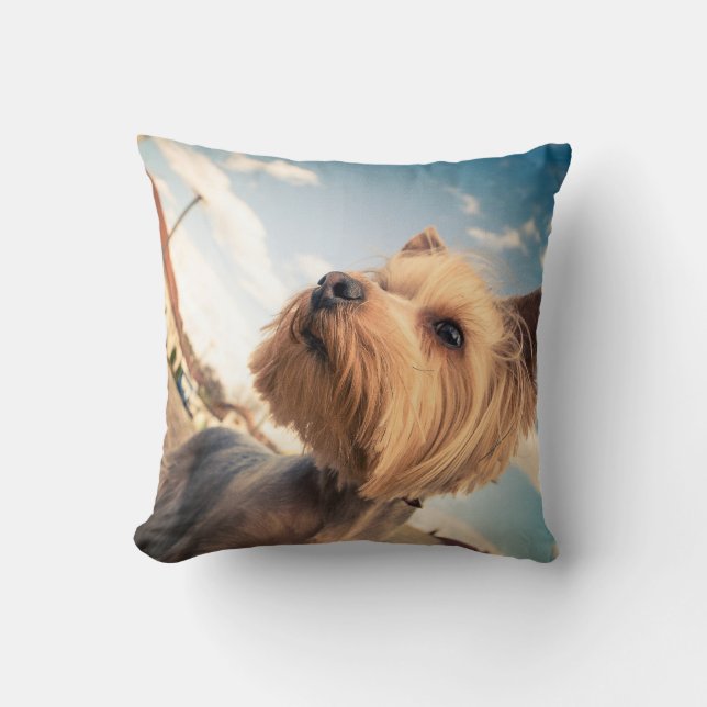 Pet Photo throw pillow (Front)