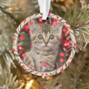 Pet Photo Year Commemorative Keepsake w Reindeer Ornament