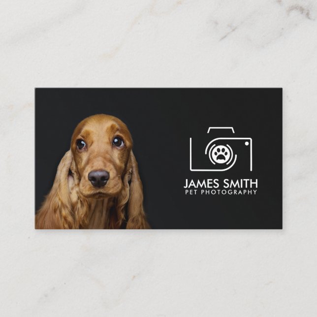 Pet Photographer - Animal Photography Business Card (Front)