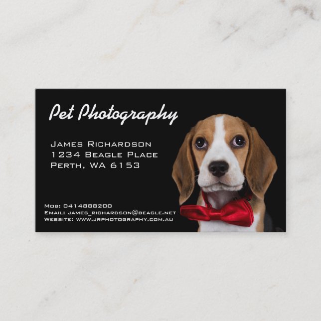 Pet photography business card (Front)