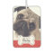 Pet Photos on Dog Bone Name Plate Car