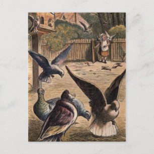 Pet Pigeons Greeting Young Girl on the Farm Card