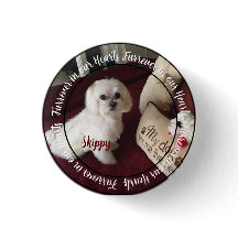 Pet Pin Button