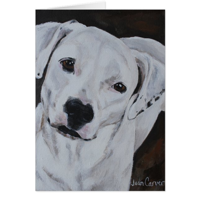 Pet Portrait - American Bulldog (Front)
