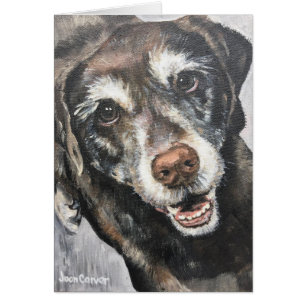 Pet Portrait - Black Lab