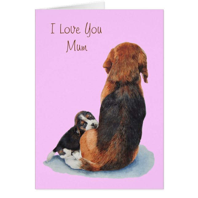 pet portrait cute puppy beagle cuddling mum dog (Front)