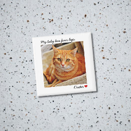 Pet Portrait Fur Baby Personalized Magnet