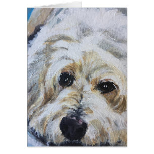 Pet Portrait - Juno