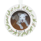 Pet Puppy Dog First Christmas 2 Photos Greenery