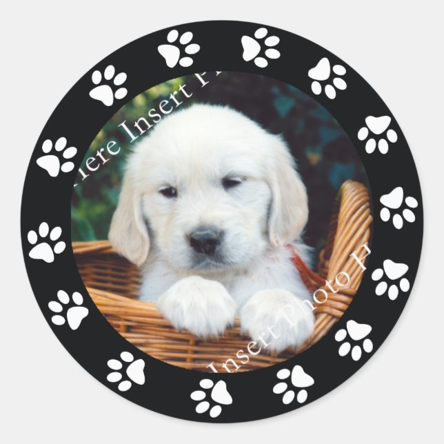 Pet Puppy Dog Paw Print Border Frame Sticker Label (Front)