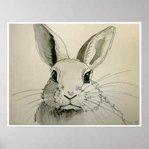 Pet Rabbit Drawing - Art Print