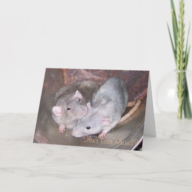 Pet Rat Anniversary Card (Front)