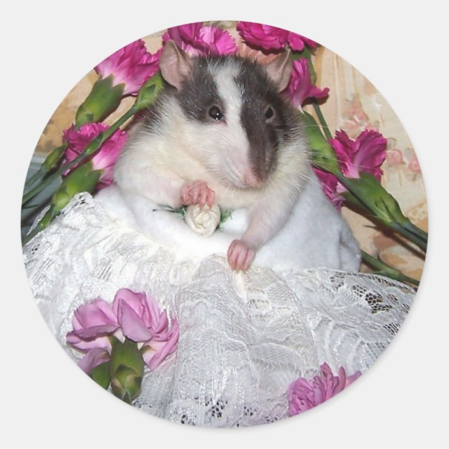 Pet Rat Bride Trudy Stickers (Front)