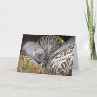 Pet rat, Duncan Birthday Card