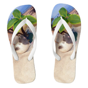 Pet Rat Mr. Bean  at the Beach Flip Flops