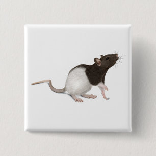 Pet Rat Painting 15 Cm Square Badge