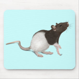 Pet Rat Painting Mouse Pad