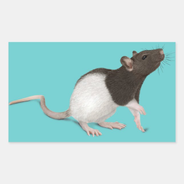 Pet Rat Painting Rectangular Sticker (Front)