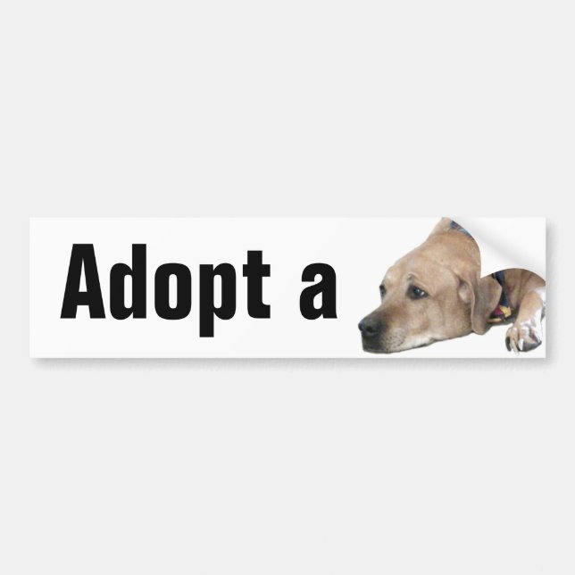 Pet Rhodesian Ridgeback Dog Picture Bumper Sticker (Front)
