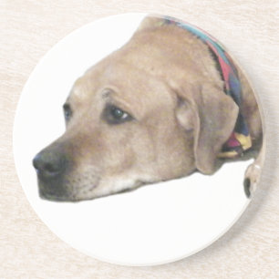 Pet Rhodesian Ridgeback Dog Picture Coaster