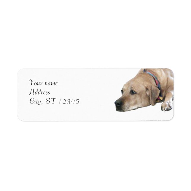 Pet Rhodesian Ridgeback Dog Picture Return Address Label (Front)