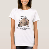 Pet Rhodesian Ridgeback Dog Picture