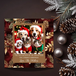 Pet Rulers of the House Burgundy Gold with Photo Holiday Card