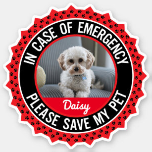 Pet Safety Alert Custom-Cut Vinyl Sticker