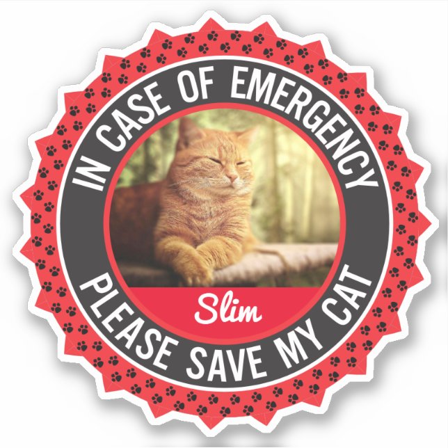 Pet Safety Alert In Case of Emergency Cat Kitten (Front)