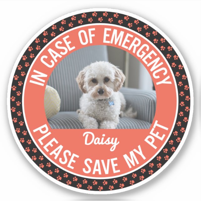 Pet Safety Alert with Changeable Colours (Front)